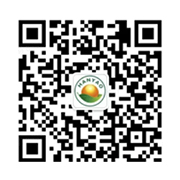 投遞簡(jiǎn)歷